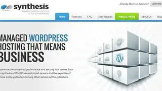WebSynthesis screenshot