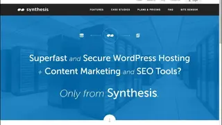 WebSynthesis screenshot