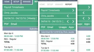 Webtimeclock screenshot