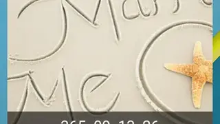 Wedding Countdown Widget screenshot