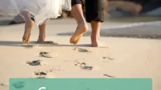 Wedding Countdown Widget screenshot