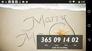 Wedding Countdown Widget screenshot