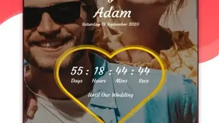 Wedding Day Countdown screenshot