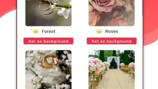 Wedding Day Countdown screenshot