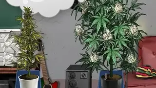 Weed Firm 2: Back To College screenshot