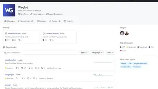 Weglot screenshot