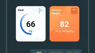 Weight Loss screenshot