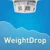WeightDrop