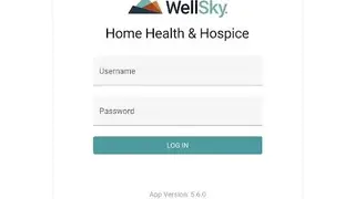 WellSky screenshot