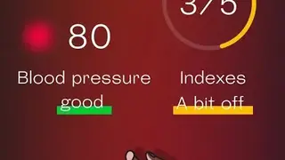 Welltory screenshot