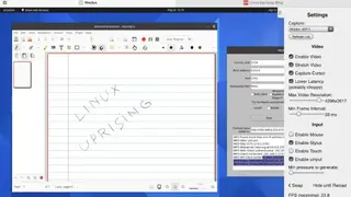 Weylus screenshot