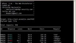 WFuzz screenshot