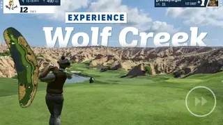 WGT Baseball MLB screenshot