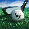 WGT: World Golf Tour Game