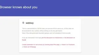 What every browser knows about you screenshot