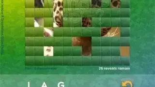 What’s The Pic screenshot