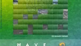 What’s The Pic screenshot