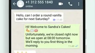 WhatsApp Business screenshot