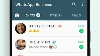 WhatsApp Business screenshot