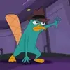 Where’s My Perry?