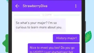Whisper screenshot