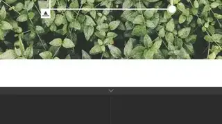 Whitagram screenshot