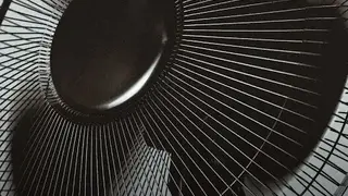 White Noise & Deep Sleep Sounds screenshot