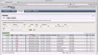 WhiteHat Sentinel screenshot