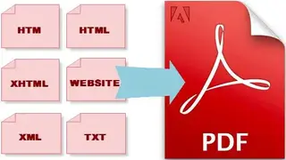 Wicked PDF screenshot