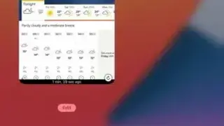 Widget Web screenshot
