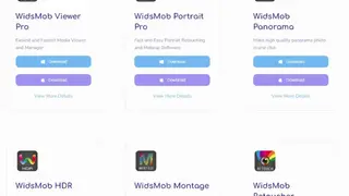 WidsMob Capture screenshot