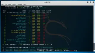 Wifite screenshot