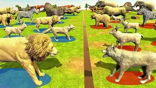 Wild Animals Kingdom Battle screenshot