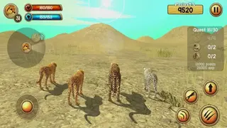 Wild Cheetah Sim 3D screenshot
