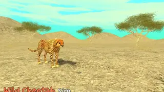 Wild Cheetah Sim 3D screenshot