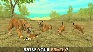 Wild Cougar Sim 3D screenshot