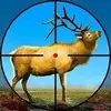 Wild Deer Hunting Adventure
