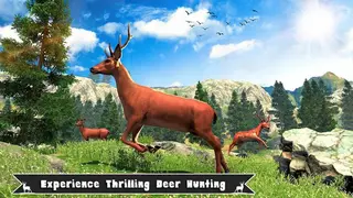 Wild Deer Hunting Jungle Shooter screenshot