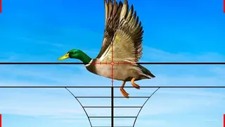 Wild Duck Hunting 2018 screenshot