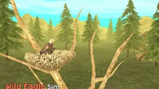 Wild Eagle Sim 3D screenshot