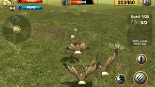 Wild Eagle Sim 3D screenshot