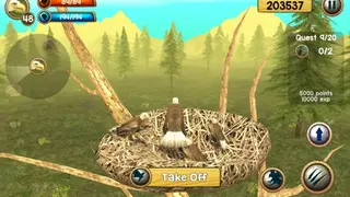 Wild Eagle Sim 3D screenshot