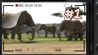 Wild Earth: African Safari screenshot