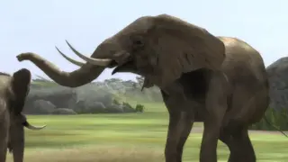 Wild Earth: African Safari screenshot