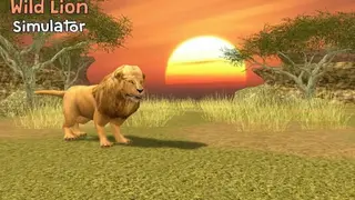 Wild Lion Simulator 3D screenshot