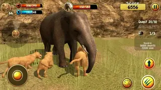 Wild Lion Simulator 3D screenshot