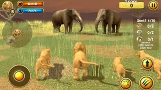 Wild Lion Simulator 3D screenshot