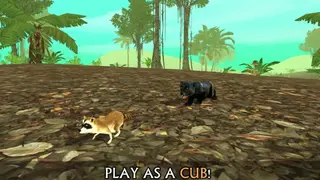 Wild Panther Sim 3D screenshot