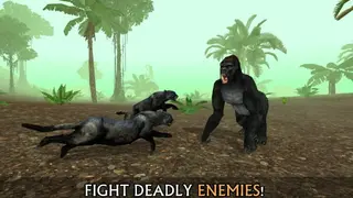 Wild Panther Sim 3D screenshot