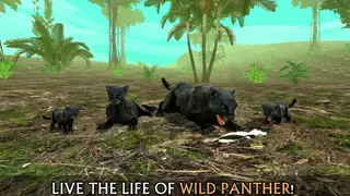 Wild Panther Sim 3D screenshot